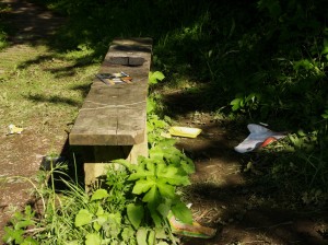 Park Lime Pits Litter